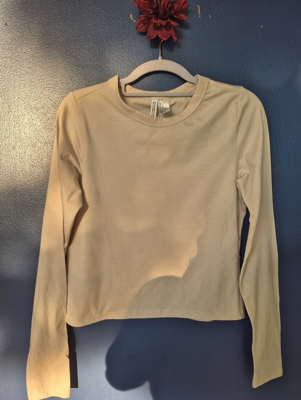 Long Sleeve Crewneck Top in Light Beige